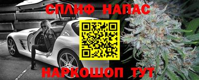 спайс Малгобек