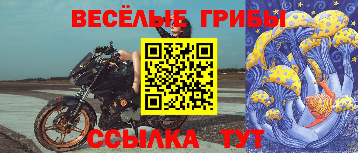 Псилоцибиновые грибы GOLDEN TEACHER  Вход с VPN  где продают наркотики  Тулун 